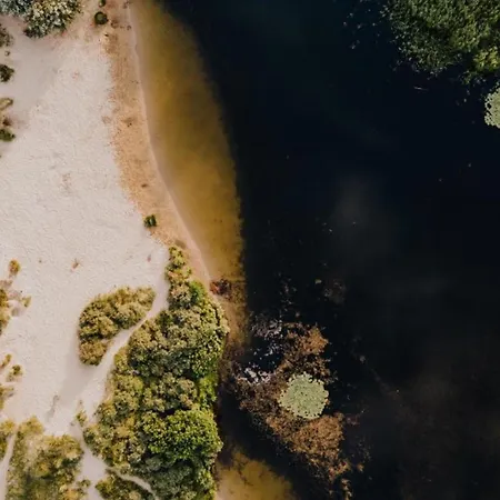 De Drie Tulpen アパート