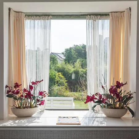 De Drie Tulpen ザントフォールト