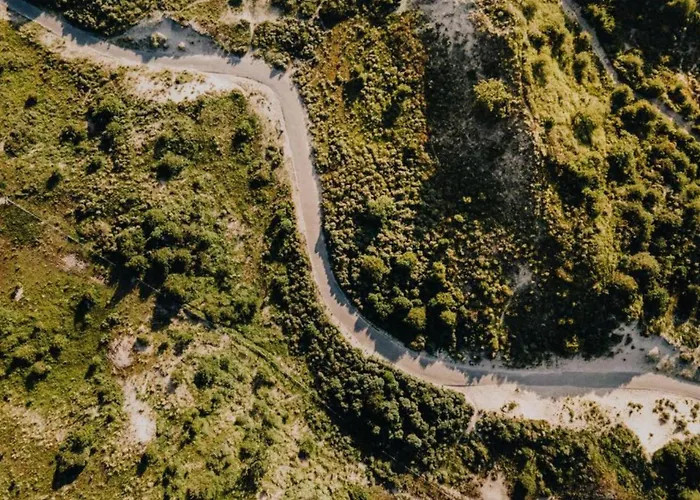 Appartement De Drie Tulpen