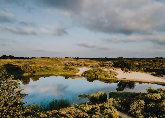 Appartement De Drie Tulpen *