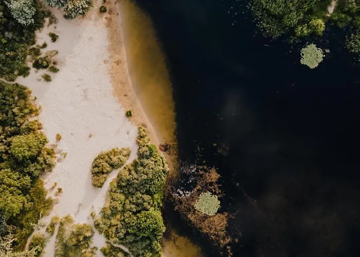 De Drie Tulpen Appartement