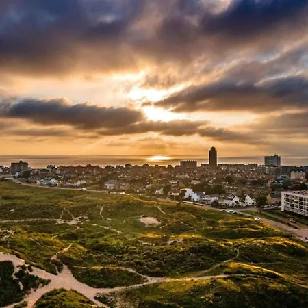 Apartment De Drie Tulpen Zandvoort