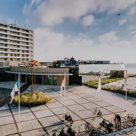 De Drie Tulpen Apartment