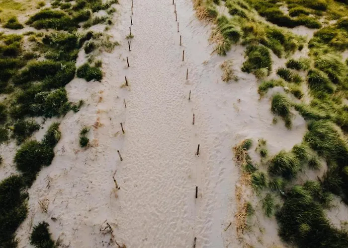 De Drie Tulpen * Zandvoort